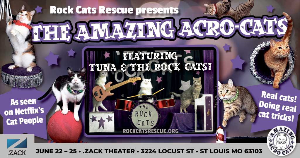 The Amazing AcroCats Slide into St. Louis Grand Center Arts District